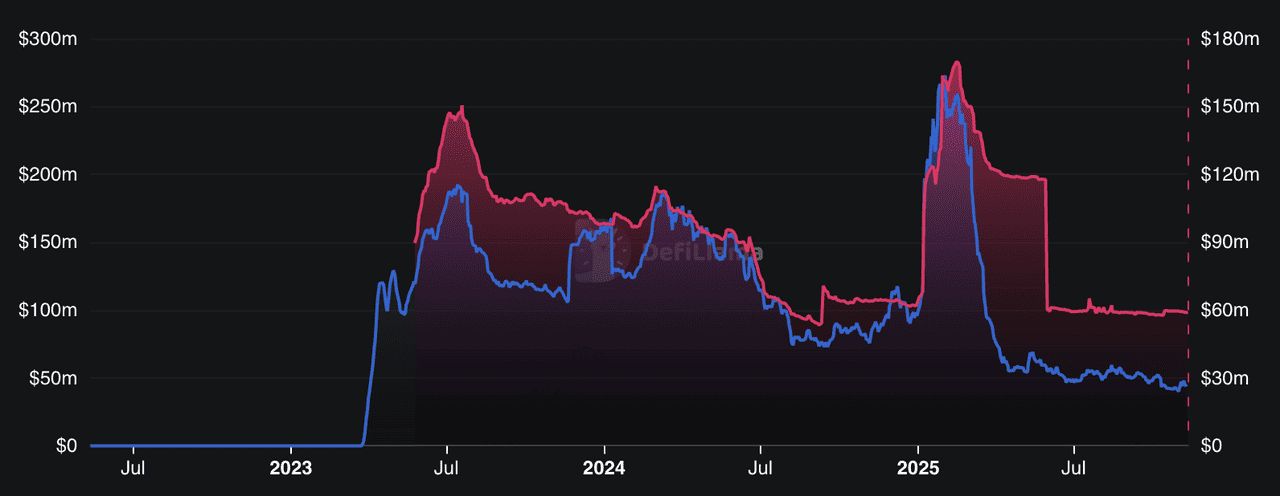 2025 年 ZKsync 生态系统的发展动力是什么?